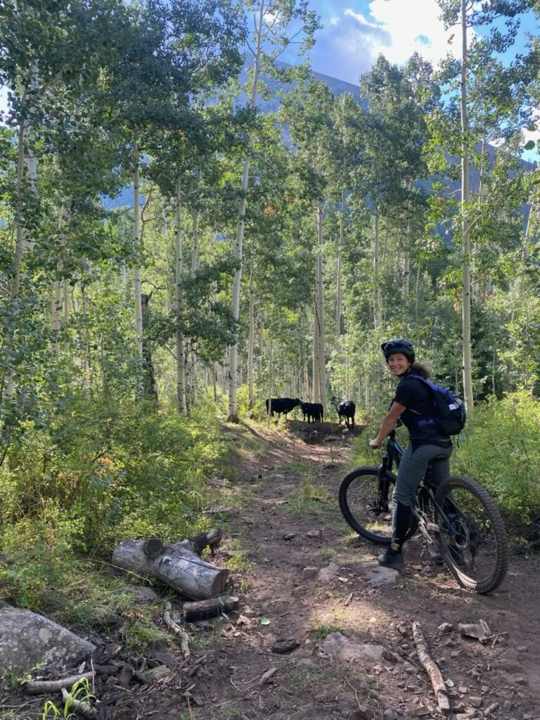 Une personne en VTT s'arrête sur un chemin de terre dans une forêt, jetant un coup d'œil en arrière vers plusieurs vaches noires qui bloquent le chemin devant elle sous de grands arbres - une scène inattendue que Valérie Beauregard pourrait capturer lors d'une randonnée aventureuse. - Ekilib