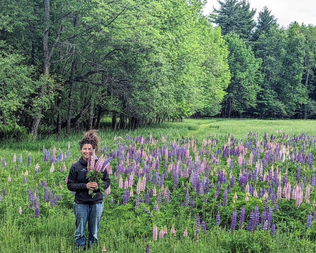 Valérie Beauregard se tient dans un champ de lupins violets et roses, tenant un bouquet de fleurs. Des arbres forment une bordure verte dense à l'arrière-plan, sous un ciel nuageux. - Ekilib