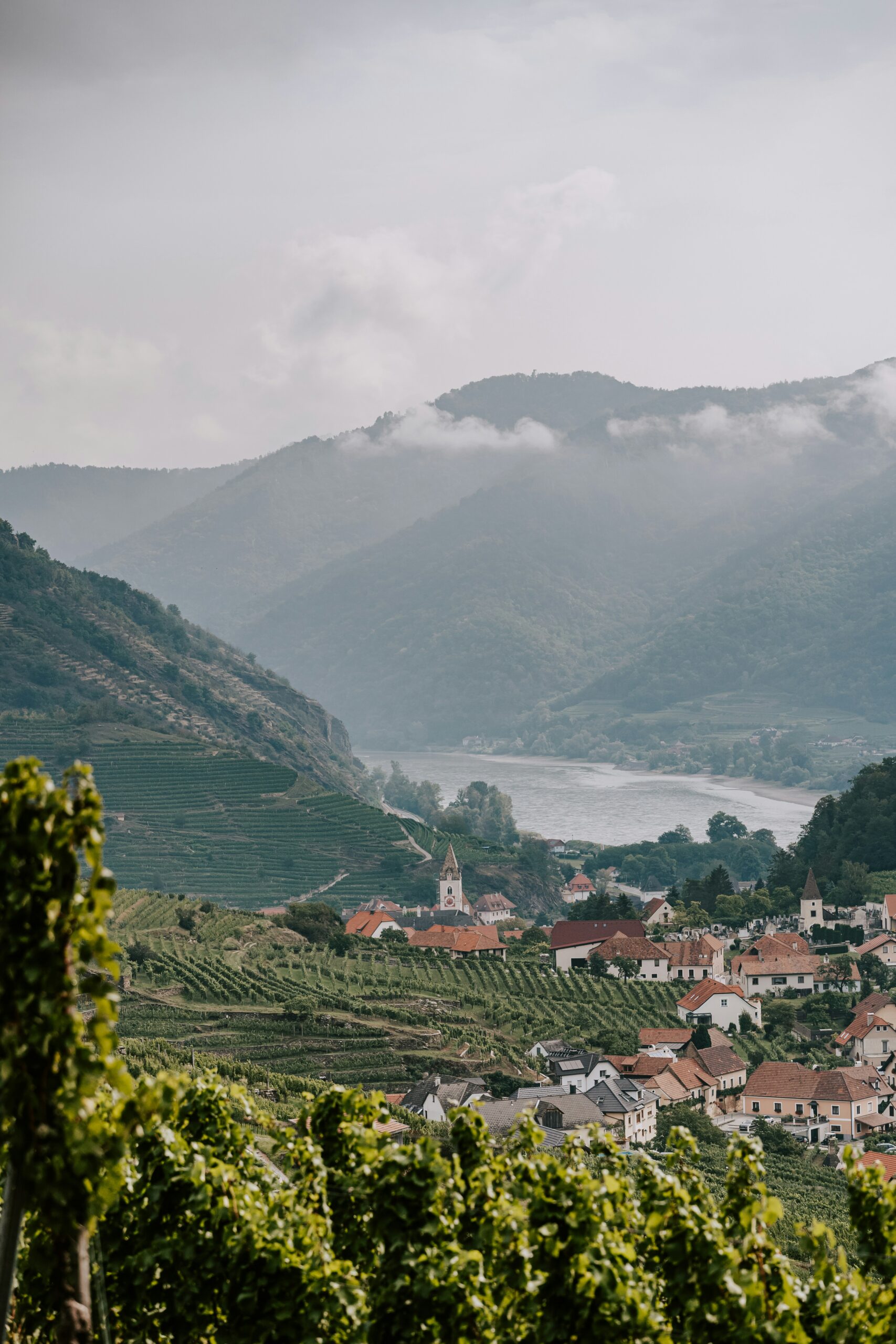 Un village aux maisons à toit rouge et à l'église se trouve au milieu de vignobles verdoyants le long du Danube, et vous invite à découvrir son charme lors d'un voyage à vélo, avec un fleuve et des montagnes boisées sous un ciel nuageux. - Ekilib