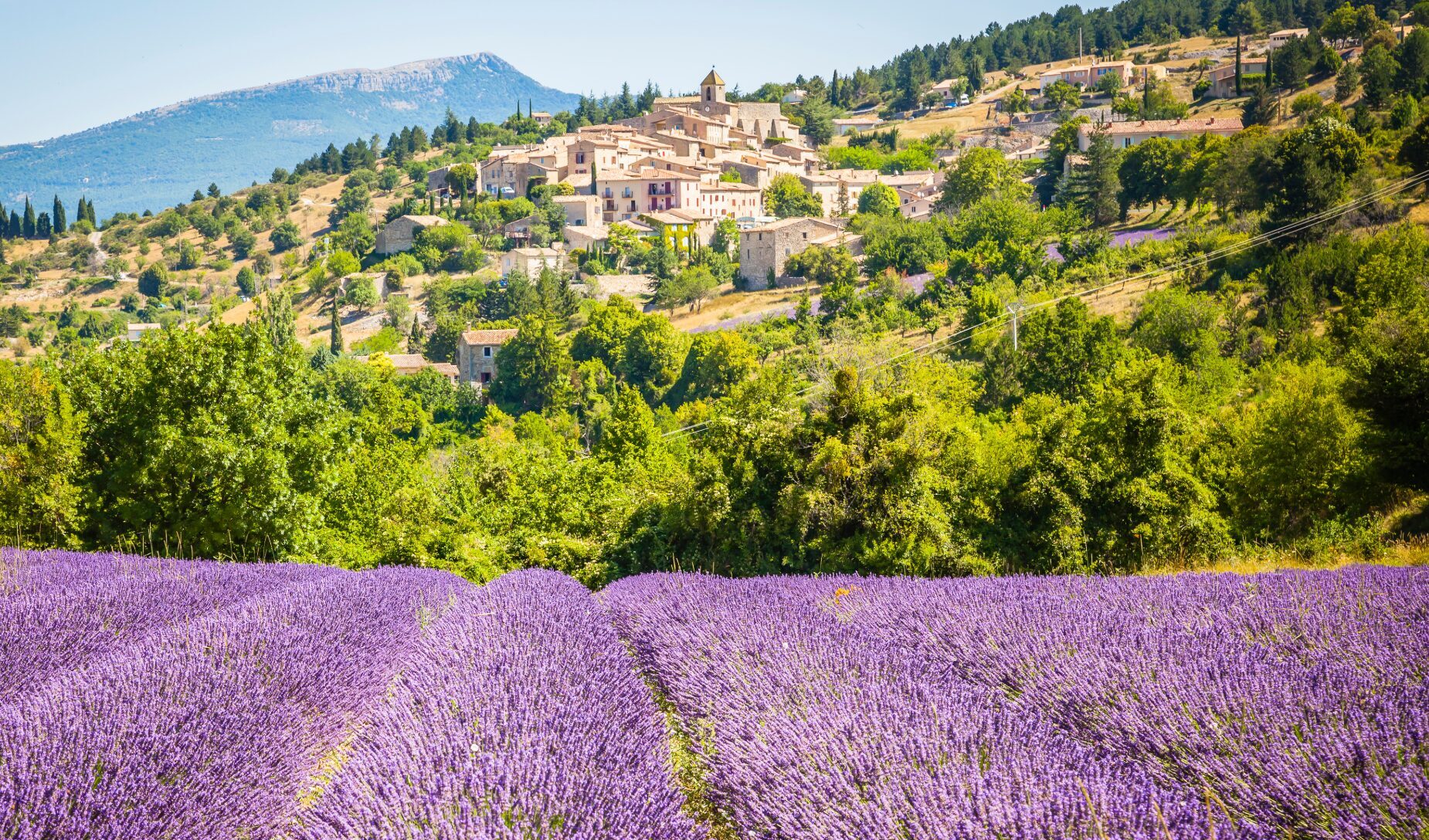 Un champ de lavande en fleurs s'étend au premier plan, tandis qu'un village à flanc de colline et des arbres verts évoquent le charme de la Provence - idéal pour une aventure en vélo-croisière ou en bateau sous un ciel clair et des montagnes lointaines. - Ekilib