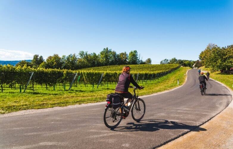 Deux personnes roulent à vélo sur une route pavée, le long de vignobles verdoyants, sous un ciel bleu clair, en suivant la route panoramique du Danube, de Passau à Vienne. Des arbres bordent l'horizon tandis que la route s'incurve doucement vers la droite. - Ekilib
