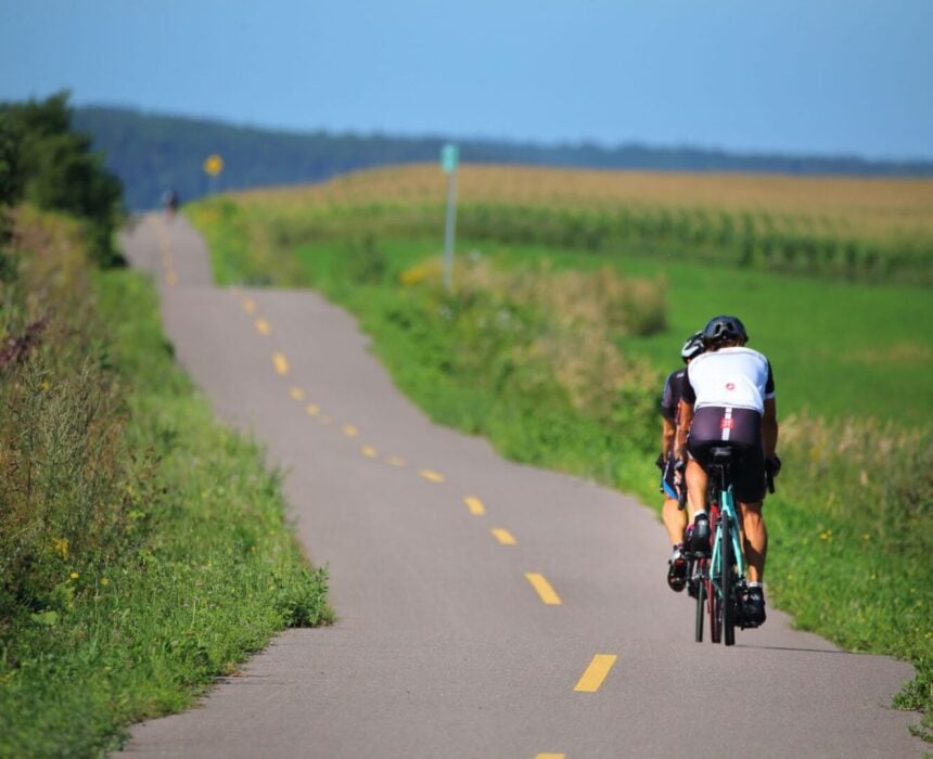 Deux cyclistes roulent sur un chemin pavé dans un paysage rural près du lac Saint-Jean, avec des champs verts et des arbustes de part et d'autre, sous un ciel bleu clair. La route panoramique s'étend au loin. - Ekilib