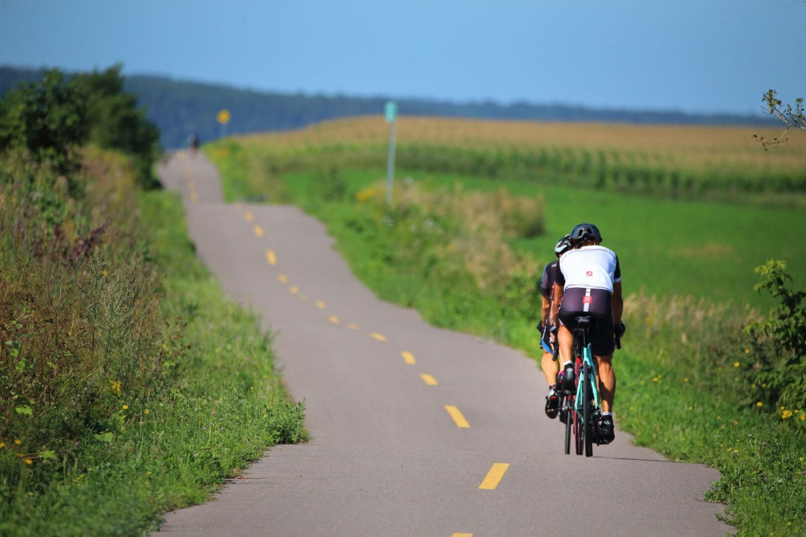 Deux cyclistes roulent sur un chemin pavé dans un paysage rural près du lac Saint-Jean, avec des champs verts et des arbustes de part et d'autre, sous un ciel bleu clair. La route panoramique s'étend au loin. - Ekilib