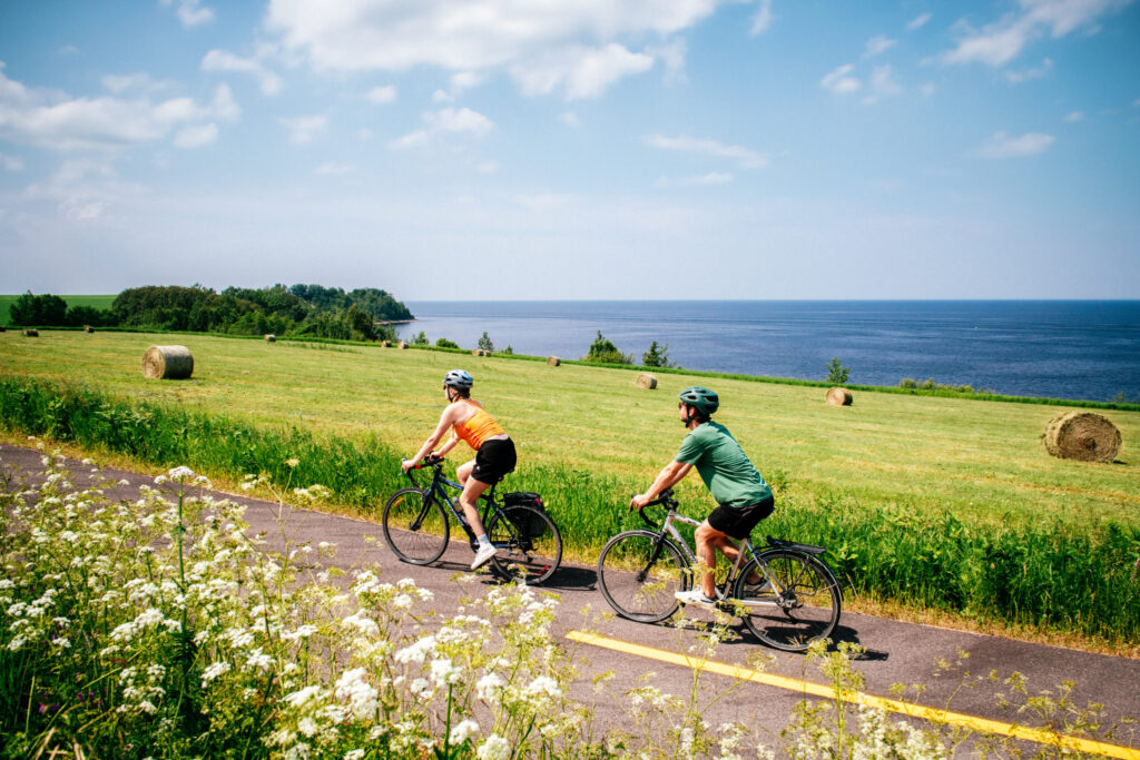 Deux personnes roulent à vélo sur un chemin pavé à travers un champ herbeux parsemé de bottes de foin et de fleurs sauvages, profitant de la vue d'un grand plan d'eau sous un ciel partiellement nuageux - une scène idéale pour une aventure organisée par une agence voyage vélo. - Ekilib
