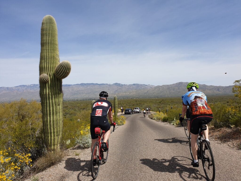 Deux cyclistes roulent sur une route pavée dans un paysage désertique avec un grand cactus saguaro sur la gauche, des montagnes au loin, des voitures devant eux et des fleurs sauvages jaunes éparpillées le long de la route sous un ciel bleu. - Ekilib