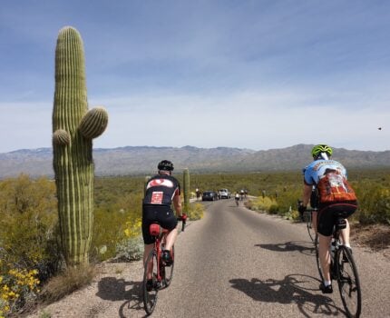 Deux cyclistes roulent sur une route pavée dans un paysage désertique avec un grand cactus saguaro sur la gauche, des montagnes au loin, des voitures devant eux et des fleurs sauvages jaunes éparpillées le long de la route sous un ciel bleu. - Ekilib