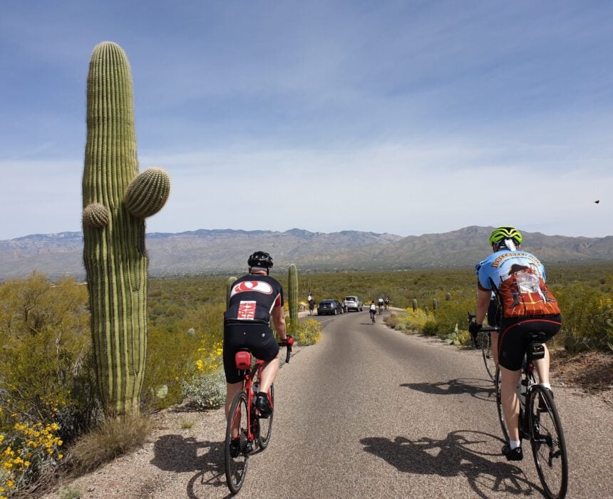 Deux cyclistes roulent sur une route pavée dans un paysage désertique avec un grand cactus saguaro sur la gauche, des montagnes au loin, des voitures devant eux et des fleurs sauvages jaunes éparpillées le long de la route sous un ciel bleu. - Ekilib