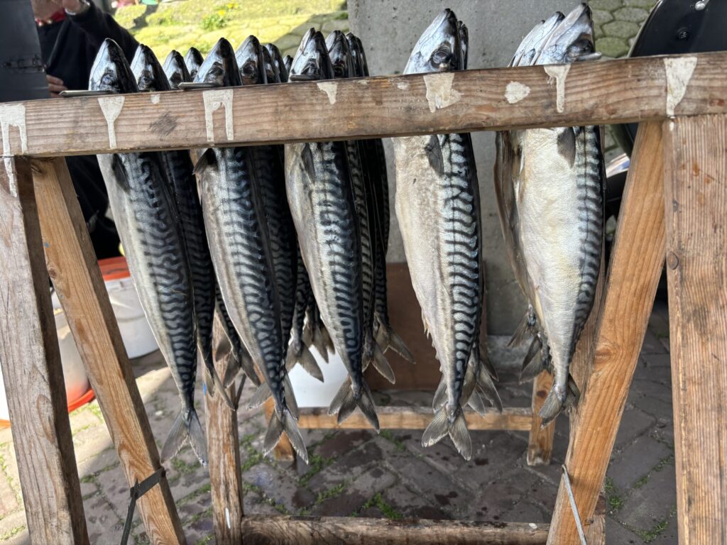 Plusieurs poissons entiers sont suspendus par la queue à un support en bois à l'extérieur. On distingue leur corps argenté et leurs rayures foncées. Le sol sous le support est pavé de pierres, et on aperçoit un peu de verdure à l'arrière-plan. - Ekilib