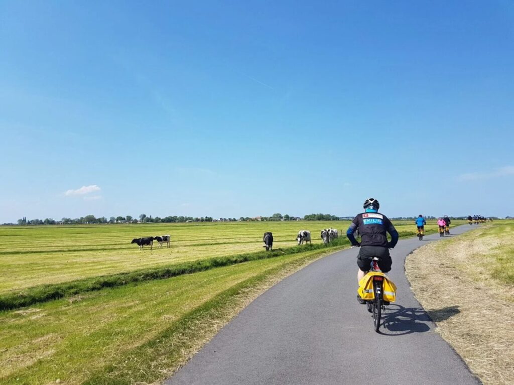 Un cycliste roule sur un chemin rural pavé, bordé de champs de part et d'autre. Plusieurs vaches paissent au loin, et on aperçoit d'autres cyclistes devant lui. Le ciel est dégagé et bleu. - Ekilib