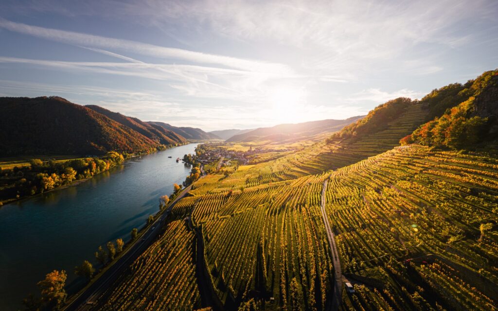 Vue aérienne de vignobles en terrasses sur des collines vallonnées au bord d'un large fleuve au coucher du soleil, avec des montagnes en arrière-plan et un petit village près de la rive : un décor idyllique pour un voyage à vélo en automne. - Ekilib
